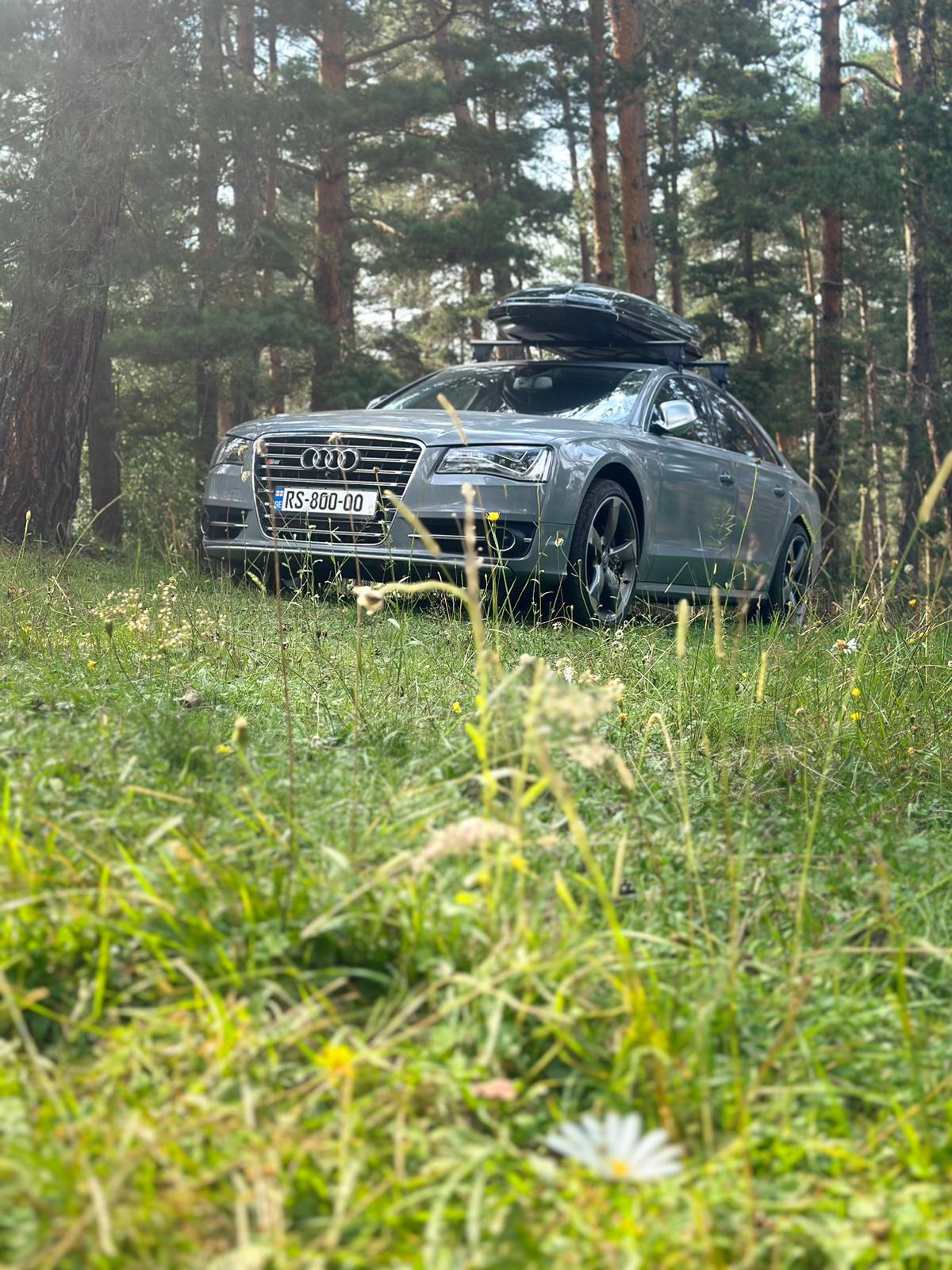 Audi S8